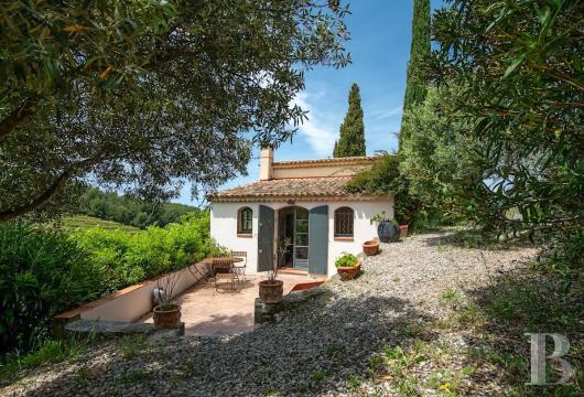 vineyards for sale France provence cote dazur   - 15
